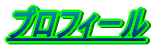 �v���t�B�[��